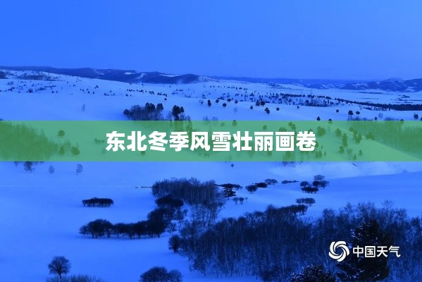 东北冬季风雪壮丽画卷