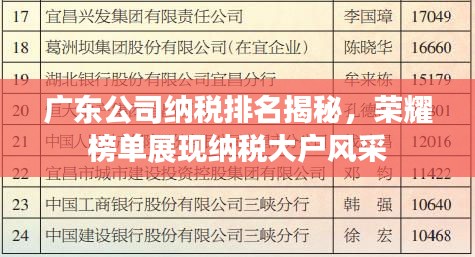 广东公司纳税排名揭秘，荣耀榜单展现纳税大户风采