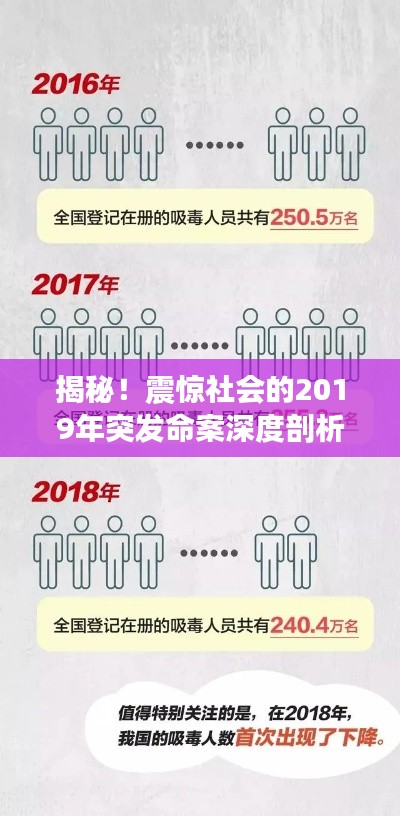 揭秘！震惊社会的2019年突发命案深度剖析