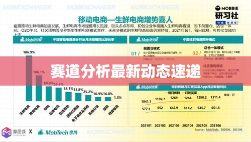 赛道分析最新动态速递