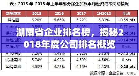 湖南省企业排名榜，揭秘2018年度公司排名概览