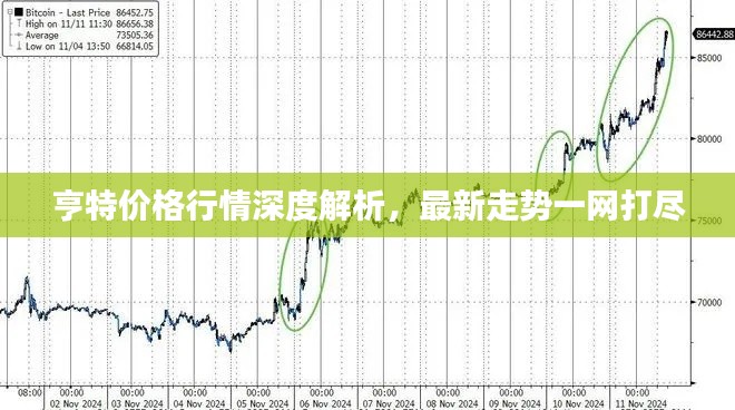 亨特价格行情深度解析，最新走势一网打尽