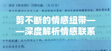 剪不断的情感纽带——深度解析情感联系之谜