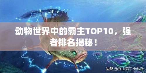 动物世界中的霸主TOP10，强者排名揭秘！