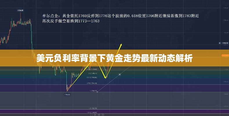 美元负利率背景下黄金走势最新动态解析