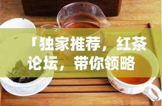 「独家推荐，红茶论坛，带你领略茶韵之美」