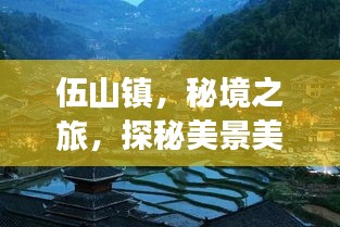 2025年3月3日 第3页