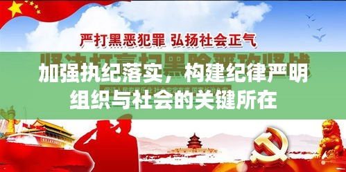 加强执纪落实，构建纪律严明组织与社会的关键所在