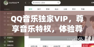 QQ音乐独家VIP，尊享音乐特权，体验尊贵之旅