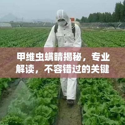 甲维虫螨睛揭秘，专业解读，不容错过的关键词