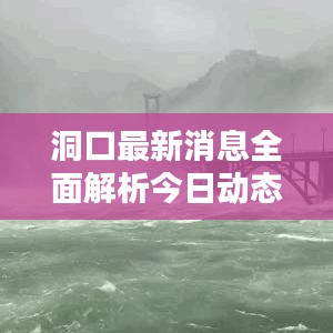 洞口最新消息全面解析今日动态