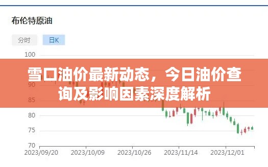 雪口油价最新动态，今日油价查询及影响因素深度解析