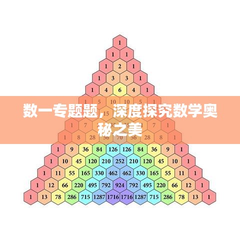 数一专题题，深度探究数学奥秘之美