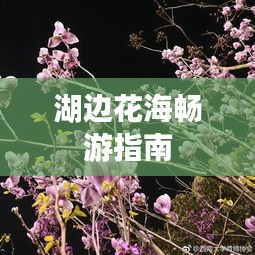 湖边花海畅游指南