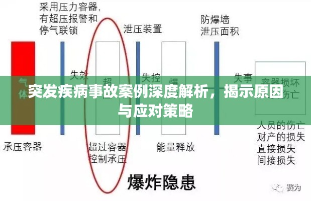 突发疾病事故案例深度解析，揭示原因与应对策略