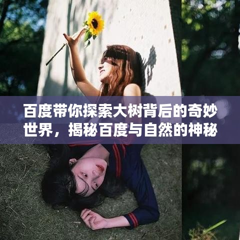 百度带你探索大树背后的奇妙世界，揭秘百度与自然的神秘链接！