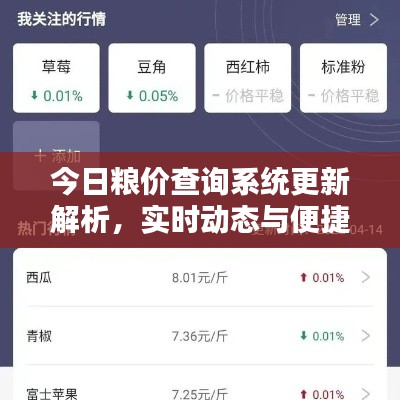 今日粮价查询系统更新解析，实时动态与便捷查询方式全掌握