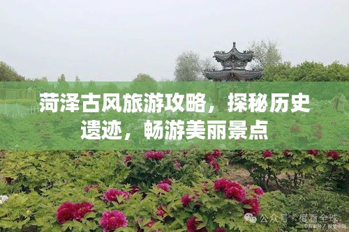 菏泽古风旅游攻略，探秘历史遗迹，畅游美丽景点