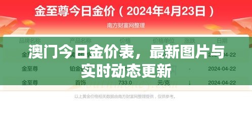 澳门今日金价表，最新图片与实时动态更新