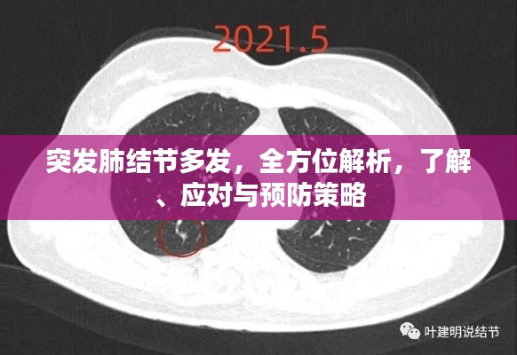 2025年5月17日