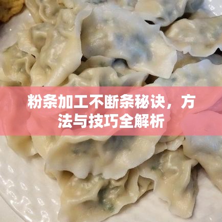 粉条加工不断条秘诀，方法与技巧全解析