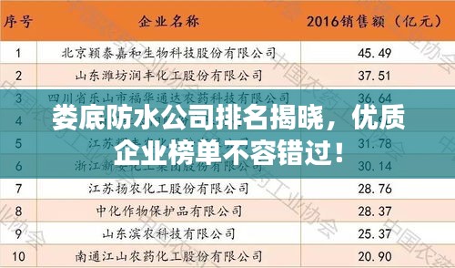 娄底防水公司排名揭晓，优质企业榜单不容错过！