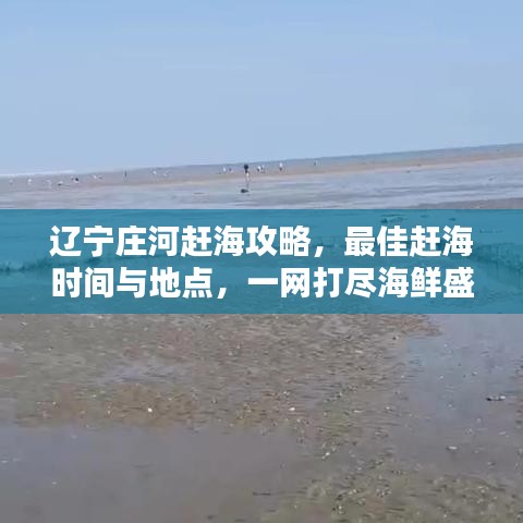 辽宁庄河赶海攻略，最佳赶海时间与地点，一网打尽海鲜盛宴！
