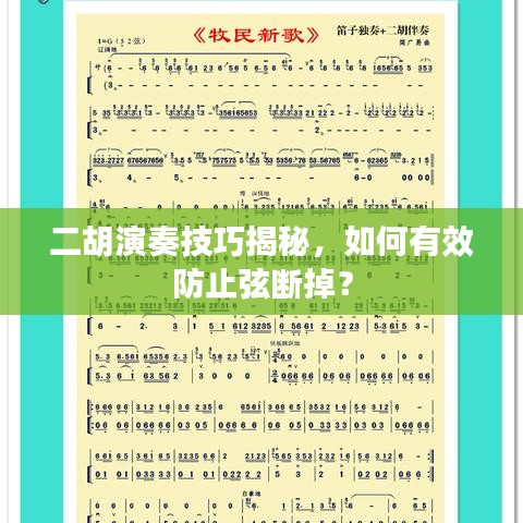 二胡演奏技巧揭秘，如何有效防止弦断掉？