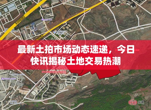 最新土拍市场动态速递，今日快讯揭秘土地交易热潮