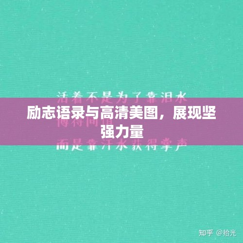 励志语录与高清美图，展现坚强力量