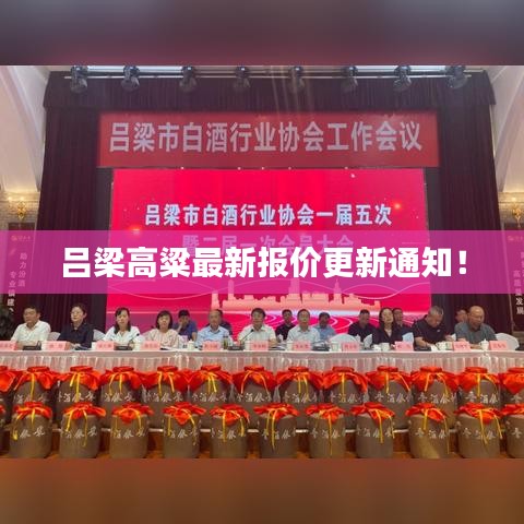 吕梁高粱最新报价更新通知！